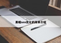 黑帽seo优化的简单介绍