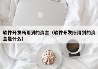 软件开发所用到的资金（软件开发所用到的资金是什么）